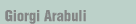 CV of Giorgi Arabuli