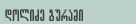 CV of Guram Dolidze